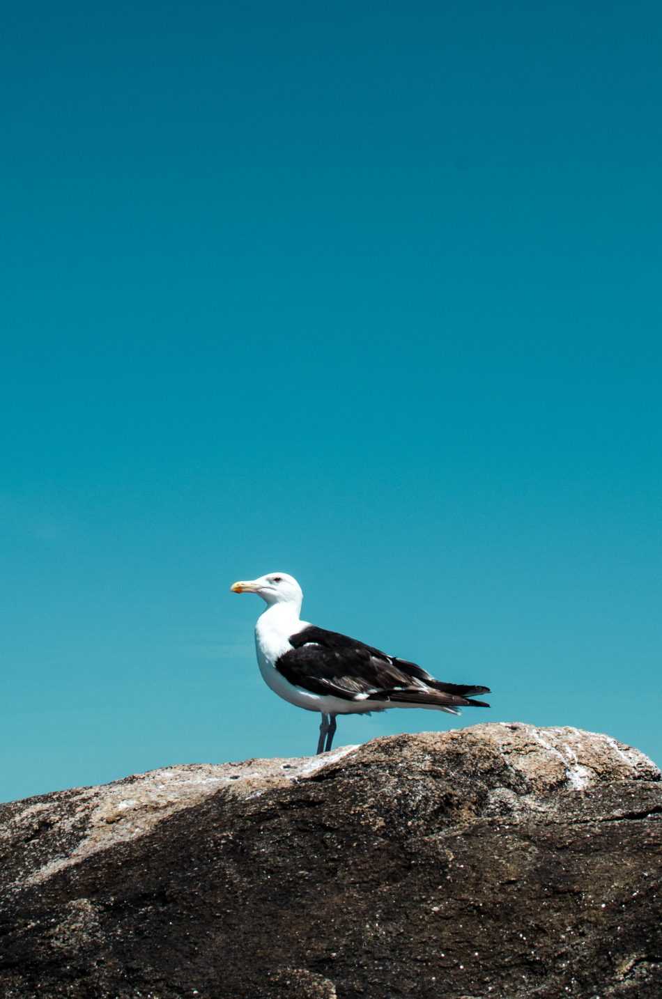 Quiberon