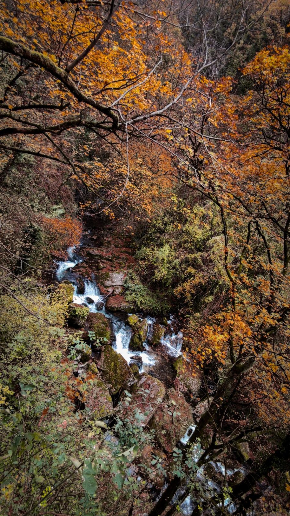 Le Saut du Gier