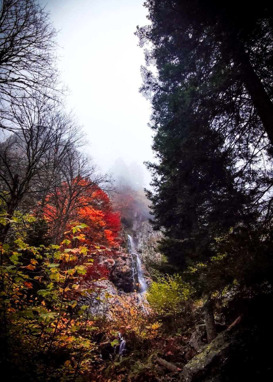 Le Saut du Gier